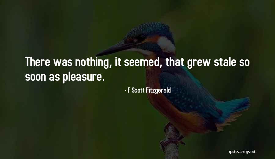 Pierer Hotel Quotes By F Scott Fitzgerald Pierer Hotel Quotes By F Scott Fitzgerald