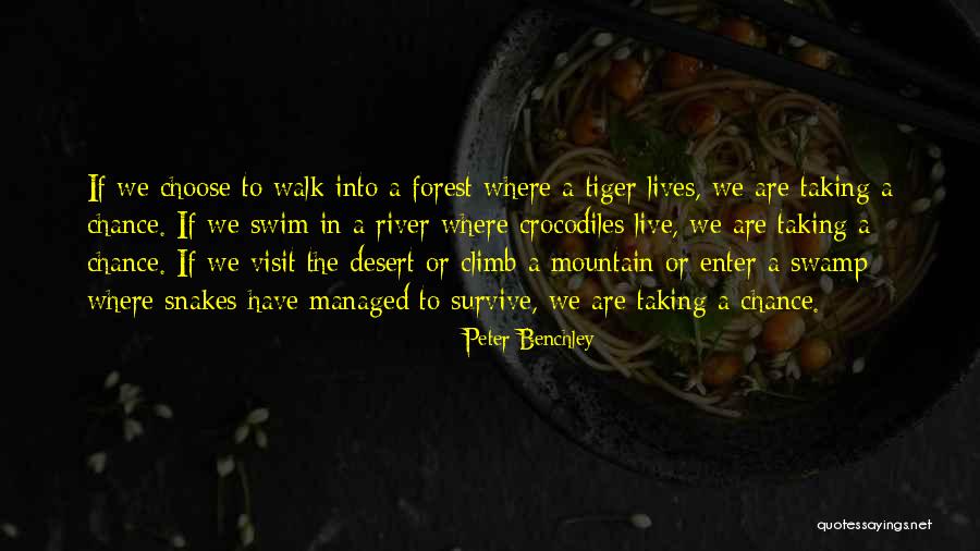 Pieres Polo Quotes By Peter Benchley Pieres Polo Quotes By Peter Benchley