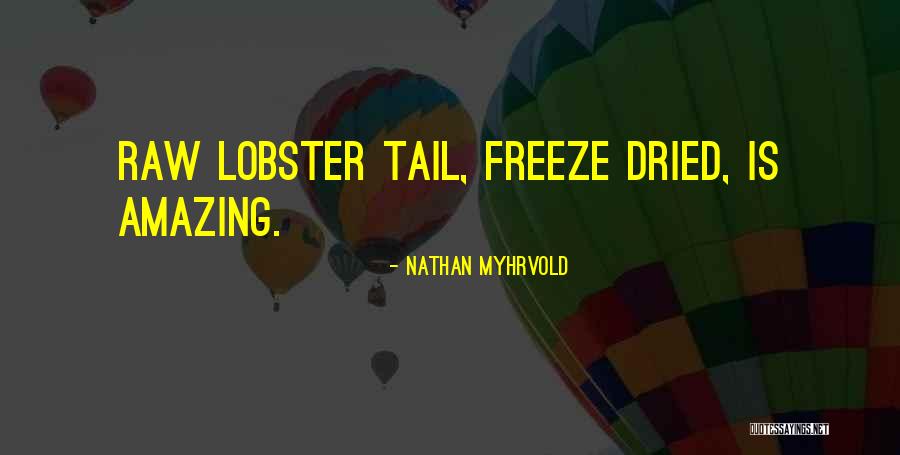 Pieritz Brothers Quotes By Nathan Myhrvold Pieritz Brothers Quotes By Nathan Myhrvold