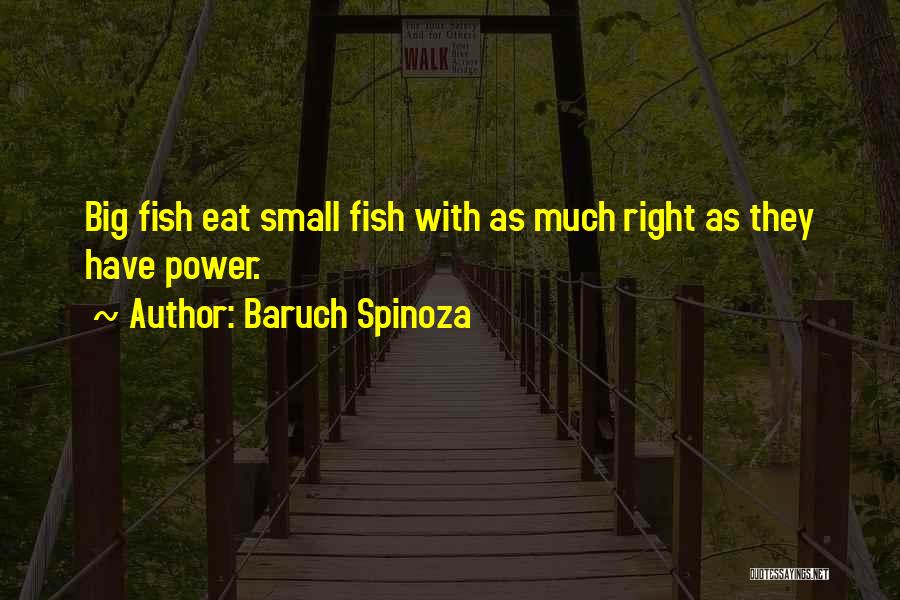 Pierobon 999 Quotes By Baruch Spinoza