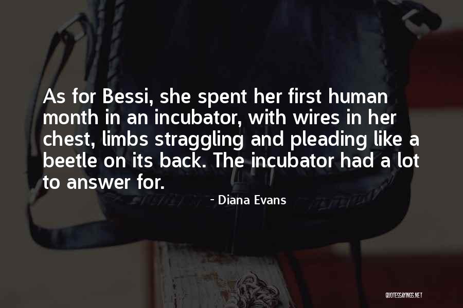 Pierpaolo Sileri Quotes By Diana Evans Pierpaolo Sileri Quotes By Diana Evans