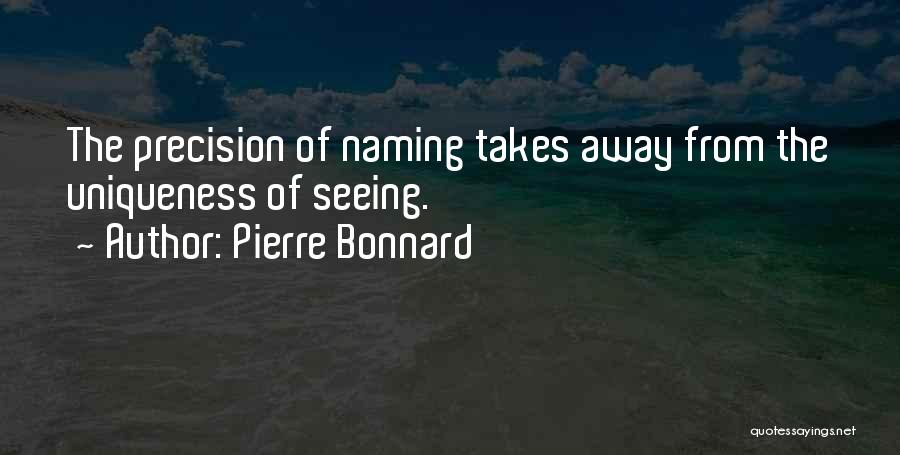 Pierre Bonnard Quotes 2168974