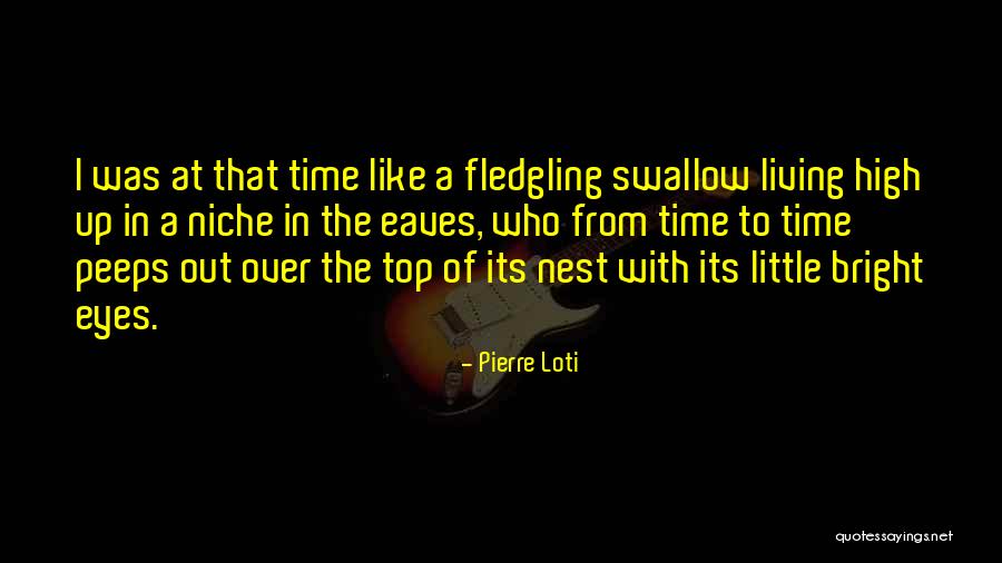 Pierre Loti Quotes 1464430