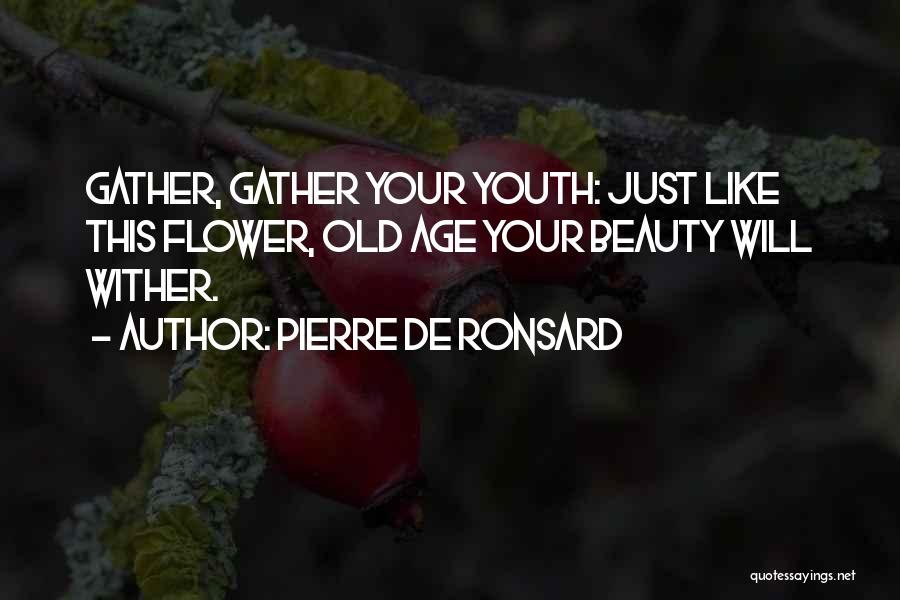 Pierre Ronsard Quotes By Pierre De Ronsard