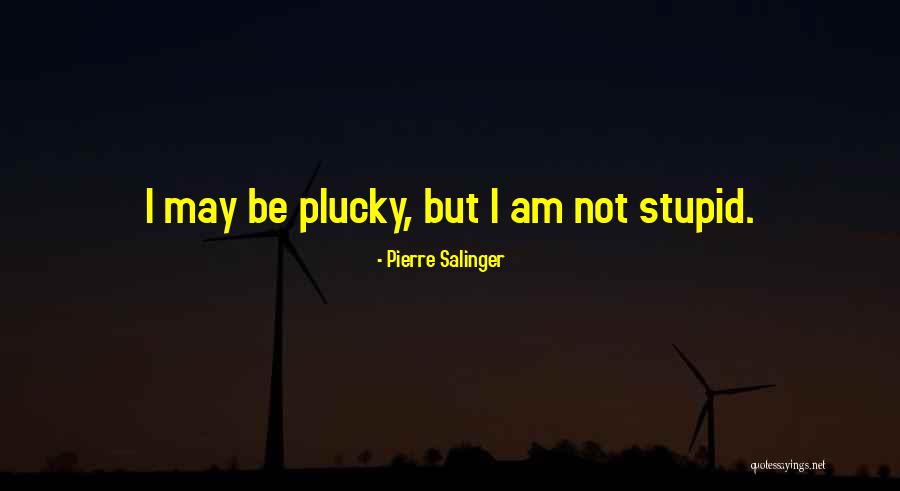 Pierre Salinger Quotes 457576