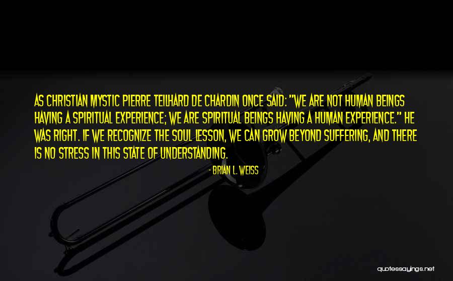 Pierre Teilhard Chardin Quotes By Brian L. Weiss
