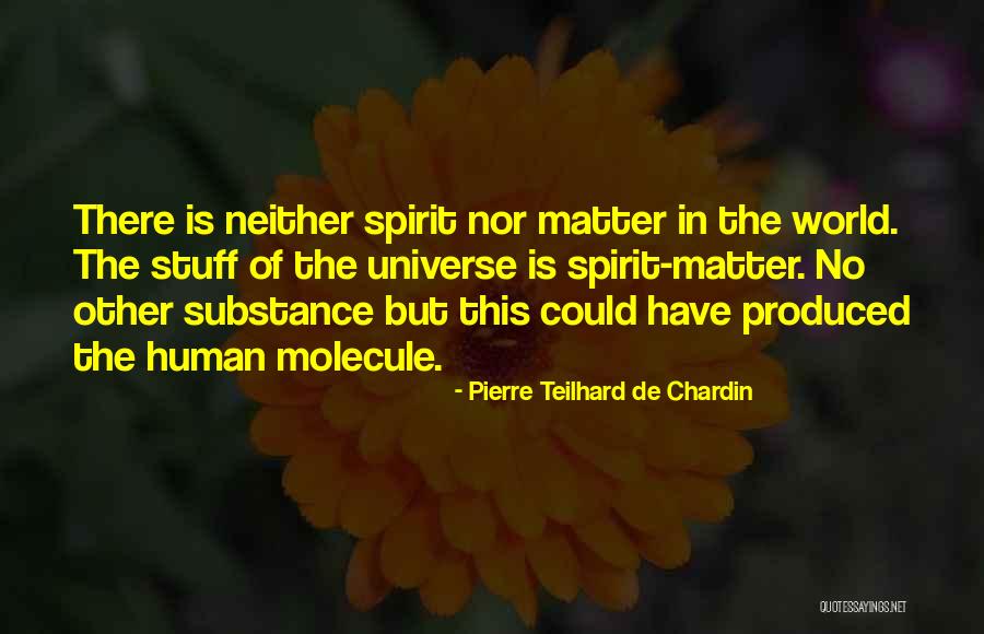 Pierre Teilhard Chardin Quotes By Pierre Teilhard De Chardin