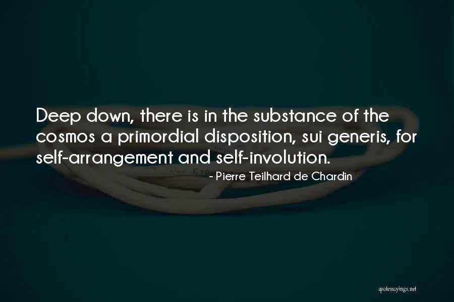 Pierre Teilhard Chardin Quotes By Pierre Teilhard De Chardin