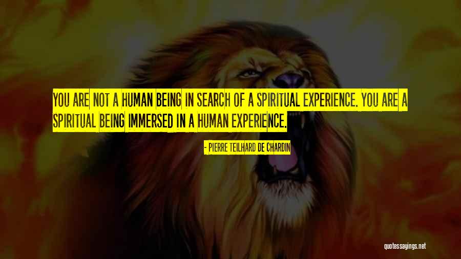 Pierre Teilhard Chardin Quotes By Pierre Teilhard De Chardin