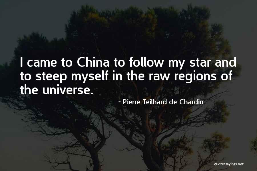 Pierre Teilhard Chardin Quotes By Pierre Teilhard De Chardin