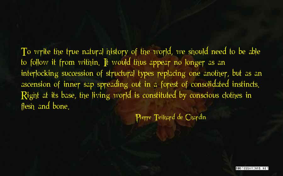 Pierre Teilhard Chardin Quotes By Pierre Teilhard De Chardin