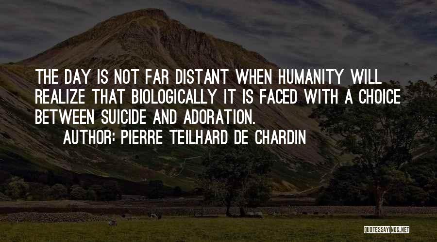 Pierre Teilhard De Chardin Quotes 1057154