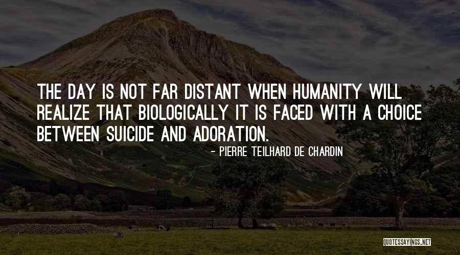 Pierre Teilhard De Chardin Quotes 1057154