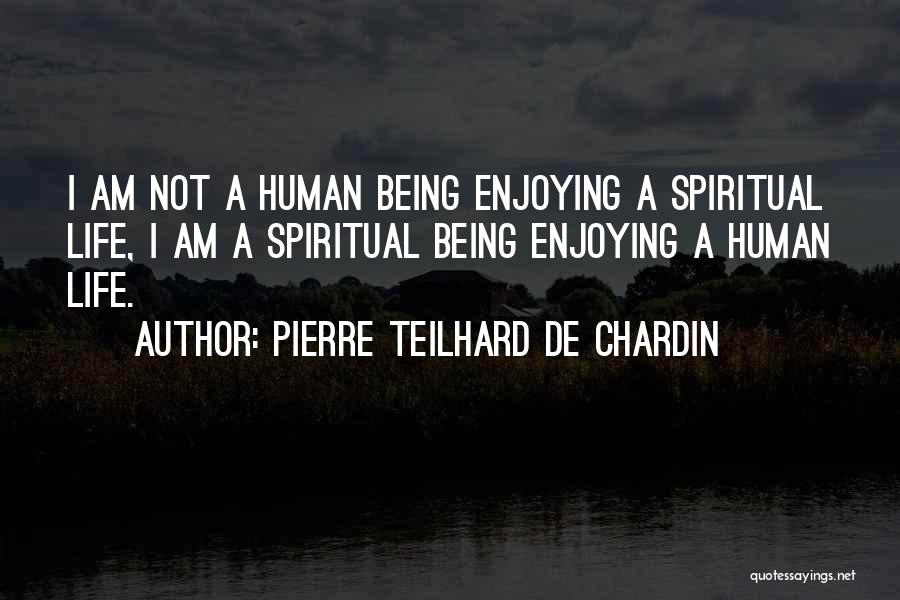 Pierre Teilhard De Chardin Quotes 294284