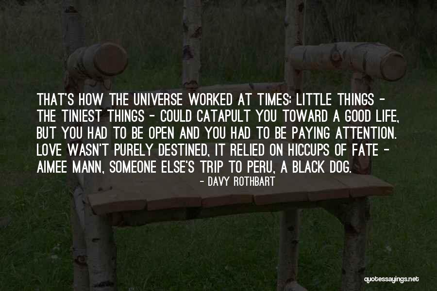 Pierrepoint Hanging Quotes By Davy Rothbart Pierrepoint Hanging Quotes By Davy Rothbart