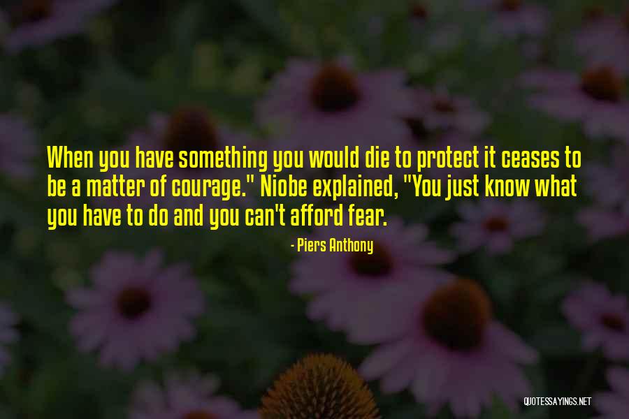 Piers Anthony Quotes 1088938