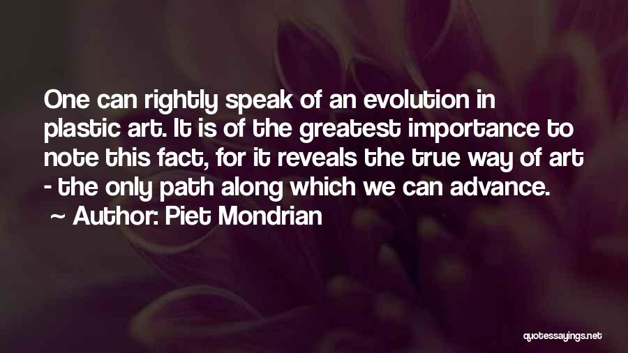 Piet Mondrian Quotes 751211