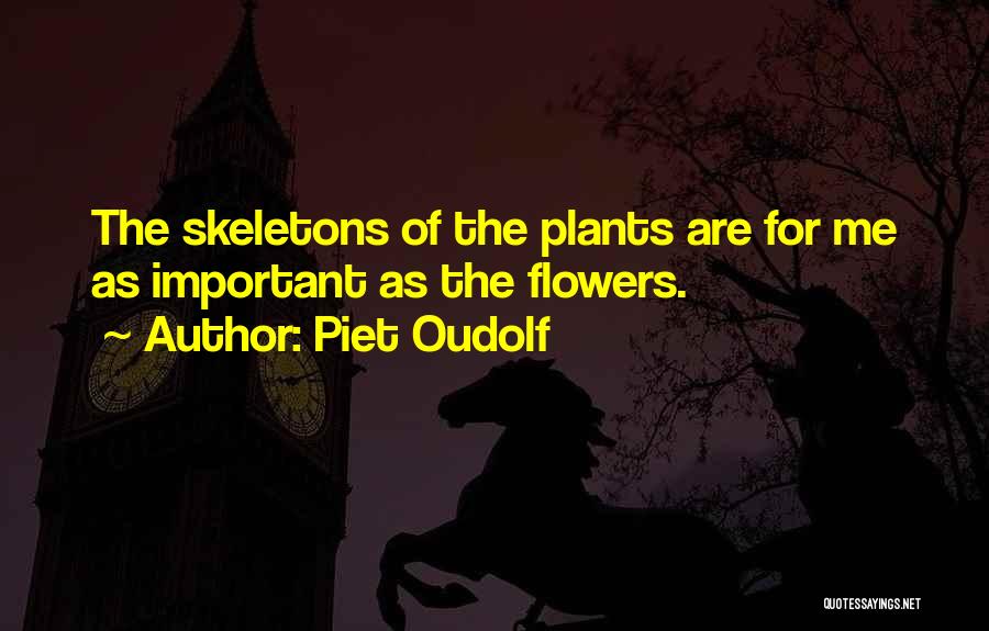 Piet Oudolf Quotes 1316331