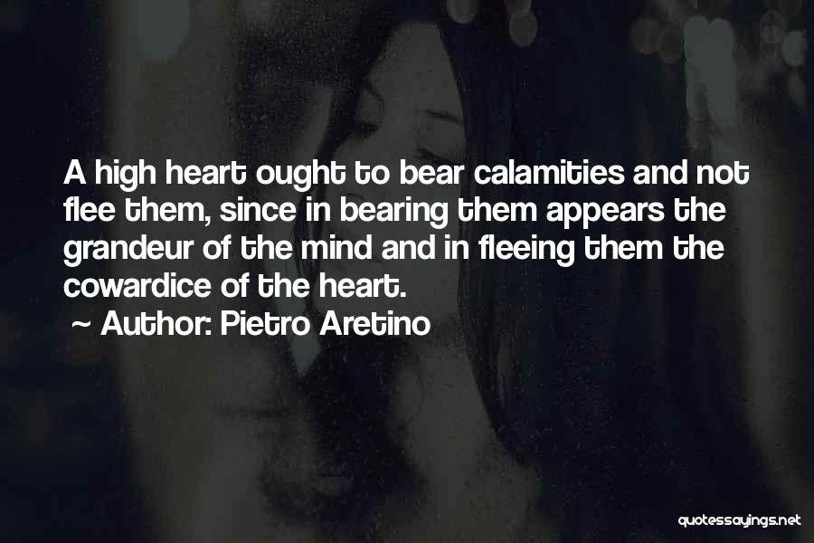 Pietro Aretino Quotes 1616081