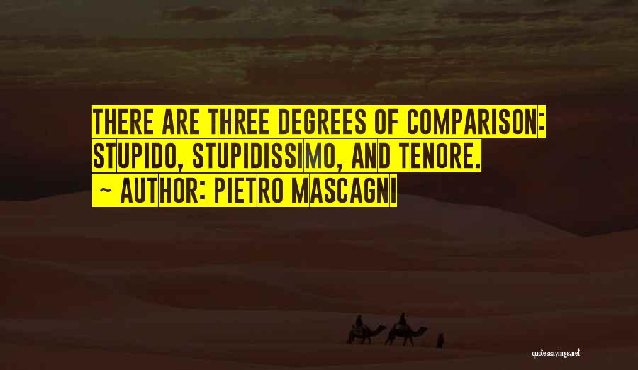 Pietro Mascagni Quotes 1538963