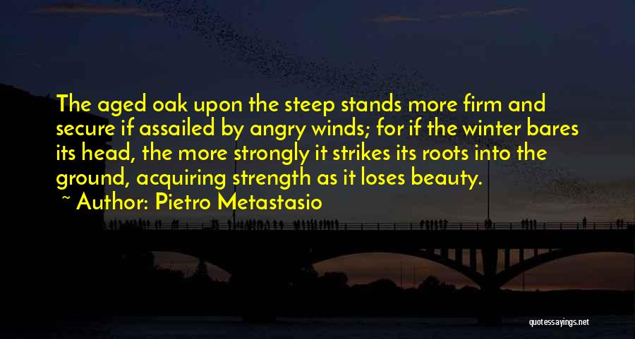Pietro Metastasio Quotes 1993856