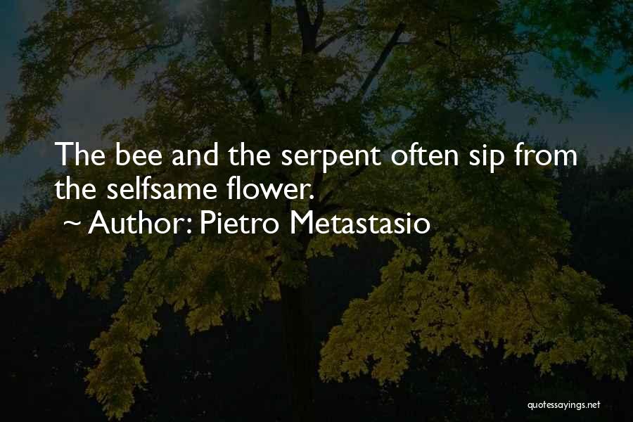 Pietro Metastasio Quotes 2072711