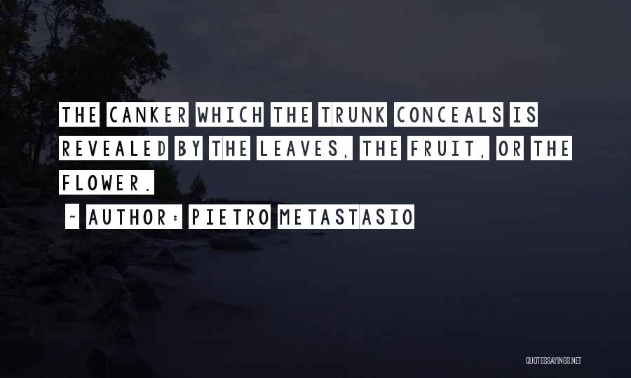 Pietro Metastasio Quotes 2125645