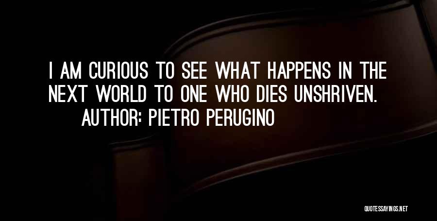 Pietro Perugino Quotes 1277706