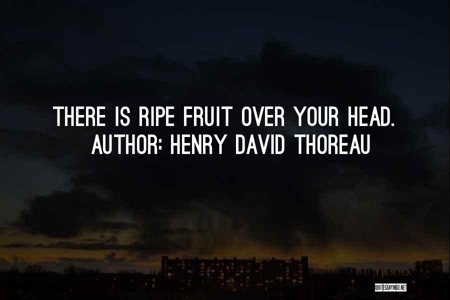 Pietros Quotes By Henry David Thoreau