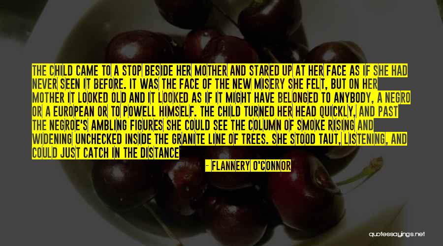 Pietrs Antica Quotes By Flannery O'Connor Pietrs Antica Quotes By Flannery O'Connor