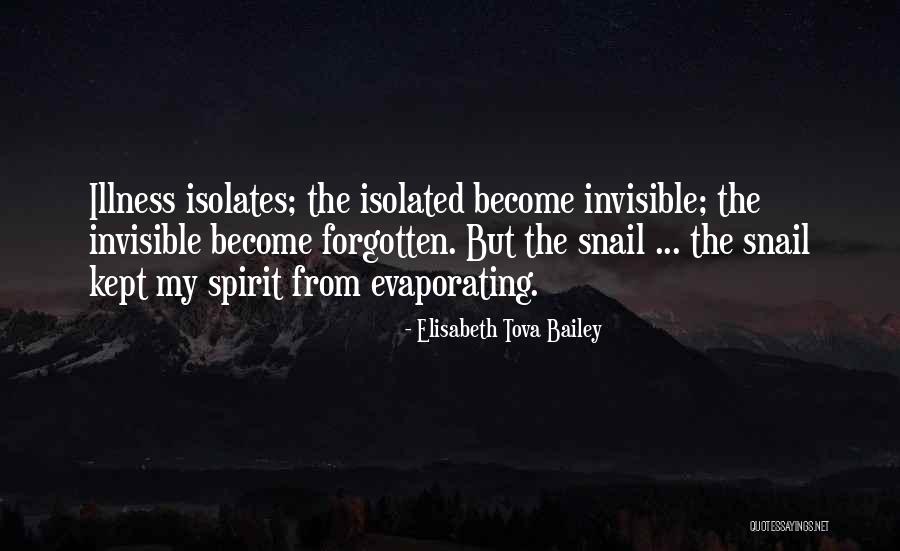 Piffle Pics Quotes By Elisabeth Tova Bailey Piffle Pics Quotes By Elisabeth Tova Bailey
