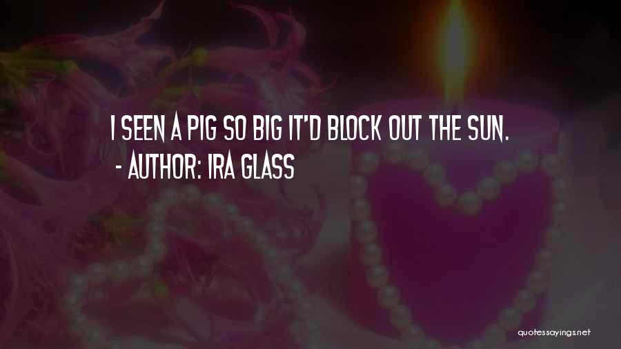 Pig Out Quotes By Ira Glass