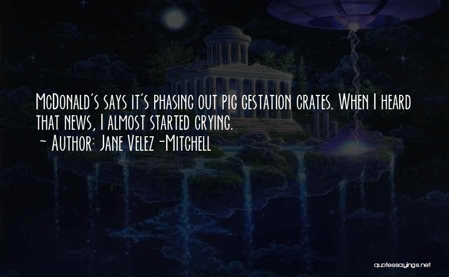 Pig Quotes By Jane Velez-Mitchell