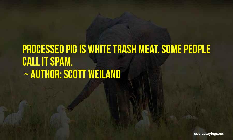 Pig Quotes By Scott Weiland