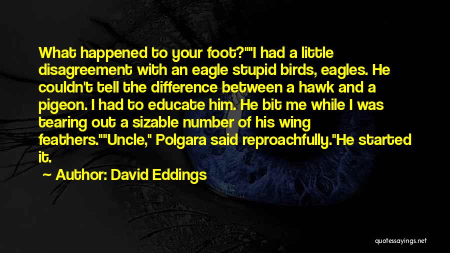 Pigeon Feathers Quotes By David Eddings