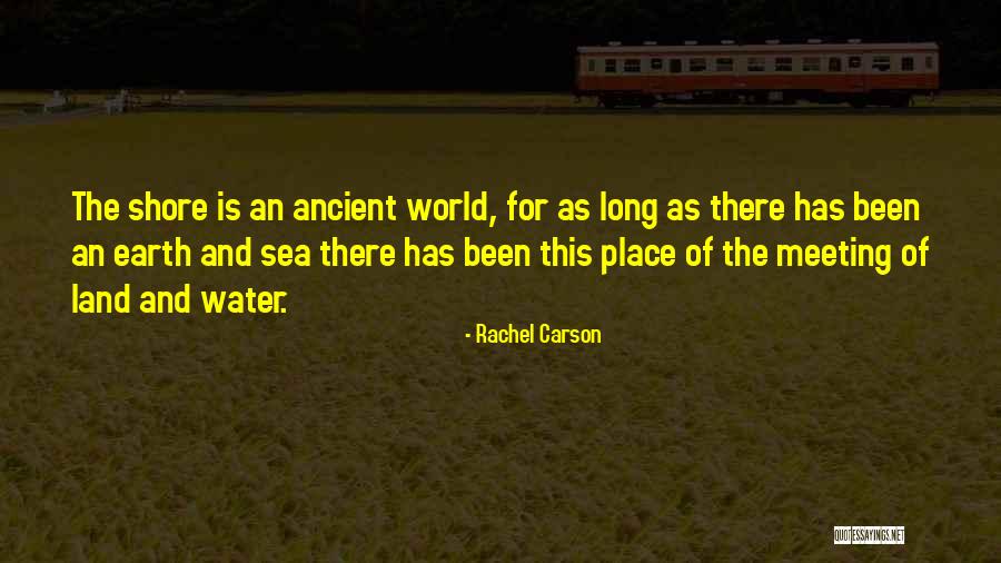Pigeon Mo Willems Quotes By Rachel Carson Pigeon Mo Willems Quotes By Rachel Carson