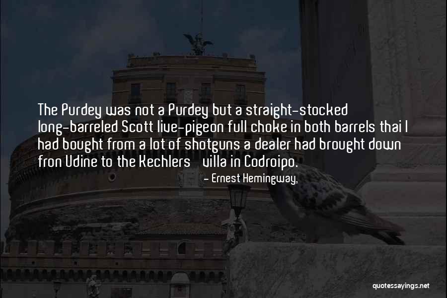 Pigeon Quotes By Ernest Hemingway, Pigeon Quotes By Ernest Hemingway,