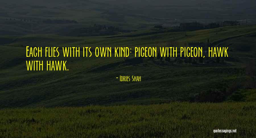 Pigeon Quotes By Idries Shah Pigeon Quotes By Idries Shah