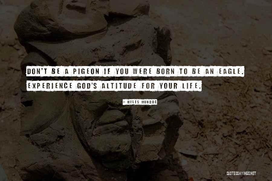 Pigeon Quotes By Myles Munroe Pigeon Quotes By Myles Munroe