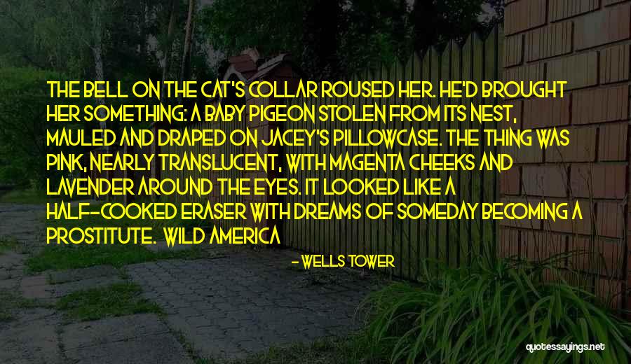 Pigeon Quotes By Wells Tower Pigeon Quotes By Wells Tower