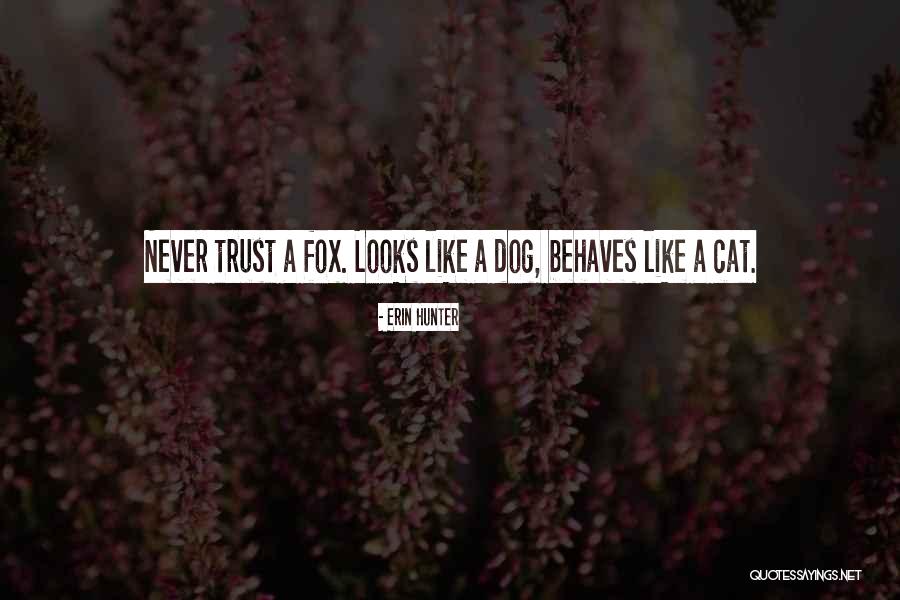 Piggins Picnic Quotes By Erin Hunter Piggins Picnic Quotes By Erin Hunter