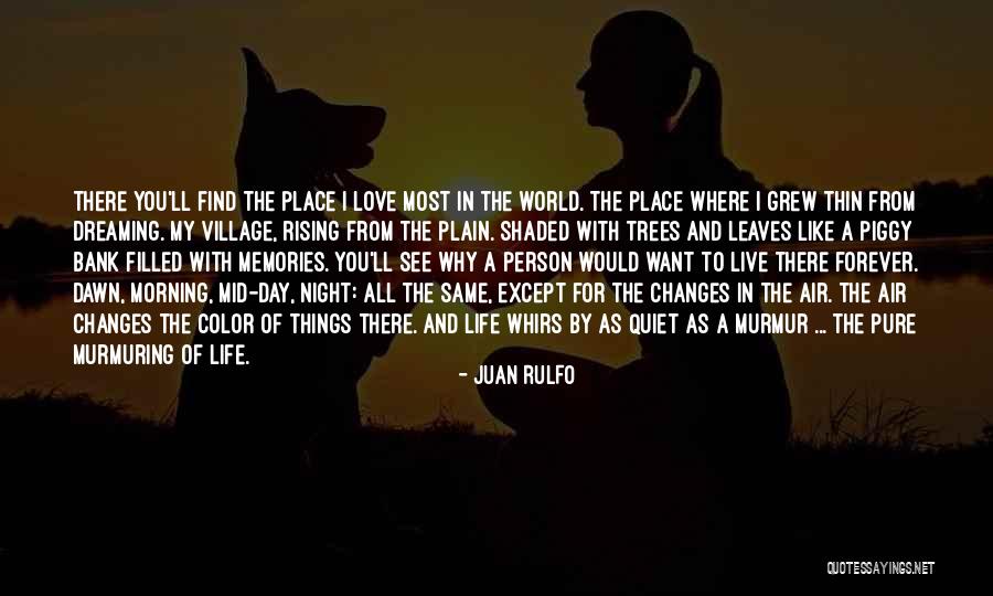 Piggy Bank Quotes By Juan Rulfo