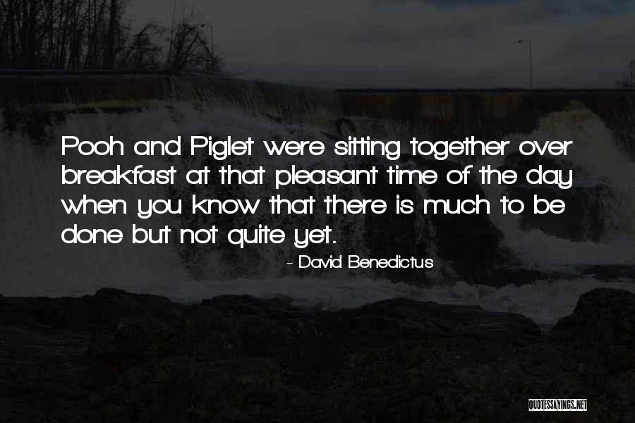 Piglet And Pooh Quotes By David Benedictus