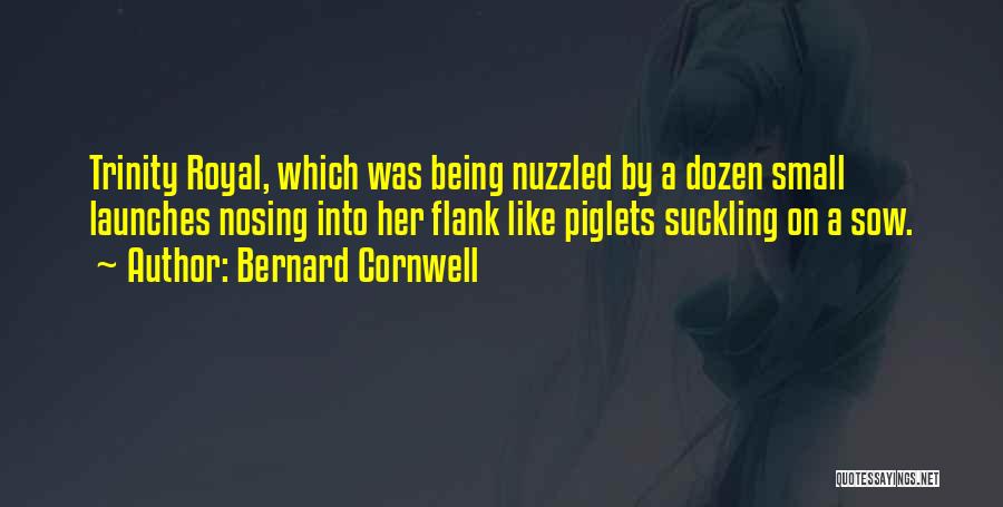 Piglets Quotes By Bernard Cornwell