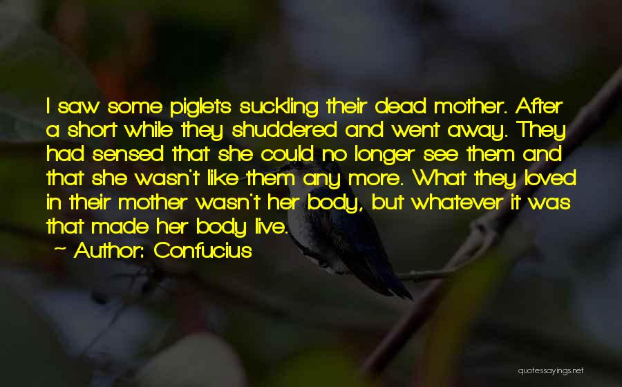 Piglets Quotes By Confucius