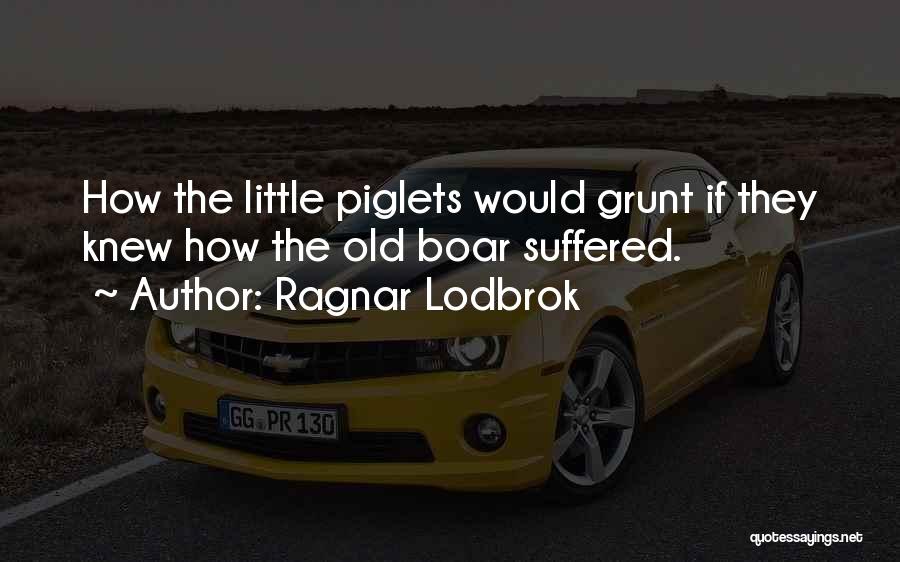 Piglets Quotes By Ragnar Lodbrok
