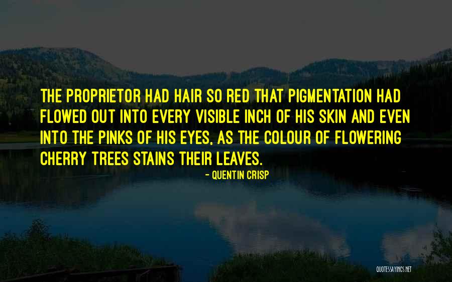 Pigmentation Of The Skin Quotes By Quentin Crisp Pigmentation Of The Skin Quotes By Quentin Crisp