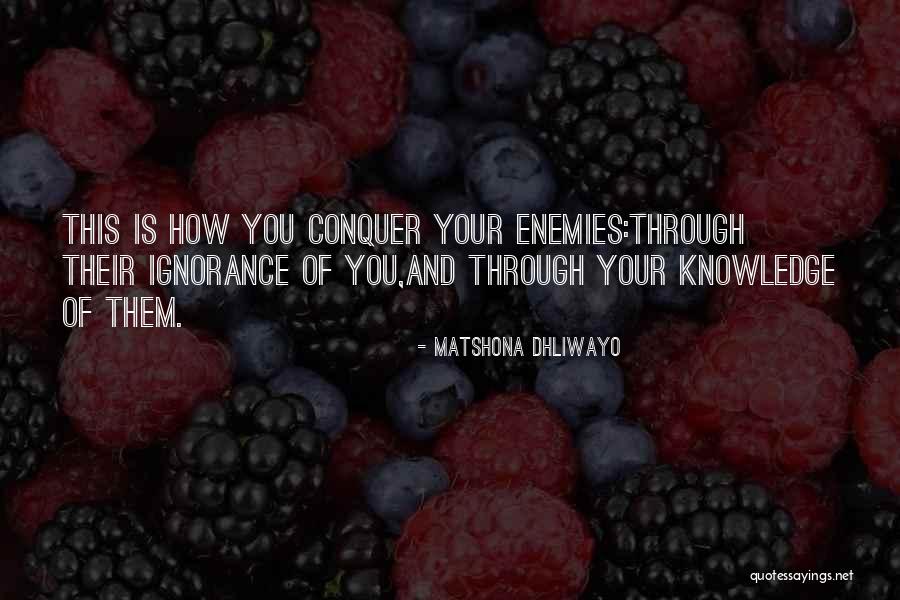 Pignard Shotgun Quotes By Matshona Dhliwayo Pignard Shotgun Quotes By Matshona Dhliwayo