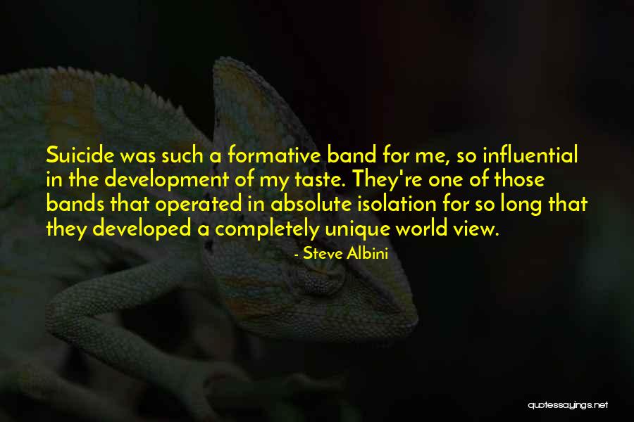 Pigott Brothers Quotes By Steve Albini Pigott Brothers Quotes By Steve Albini