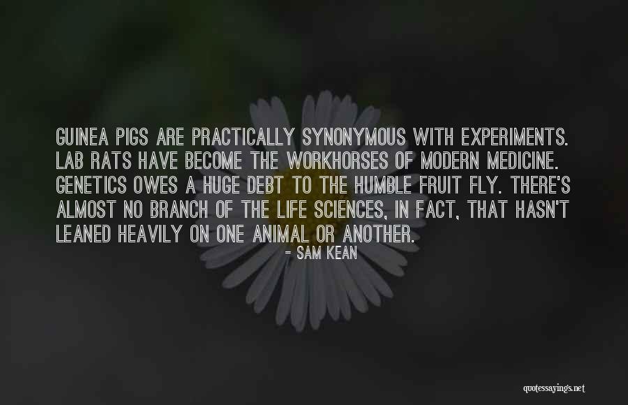 Pigs Can Fly Quotes By Sam Kean